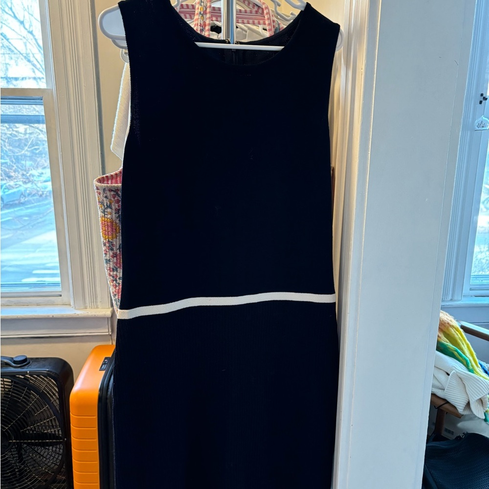 Navy St John Dress